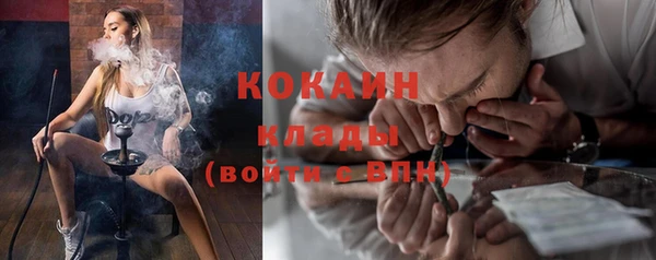 гидра Белоозёрский