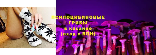 метадон Белокуриха