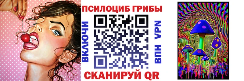 Псилоцибиновые грибы Cubensis  гидра tor  Бутурлиновка 
